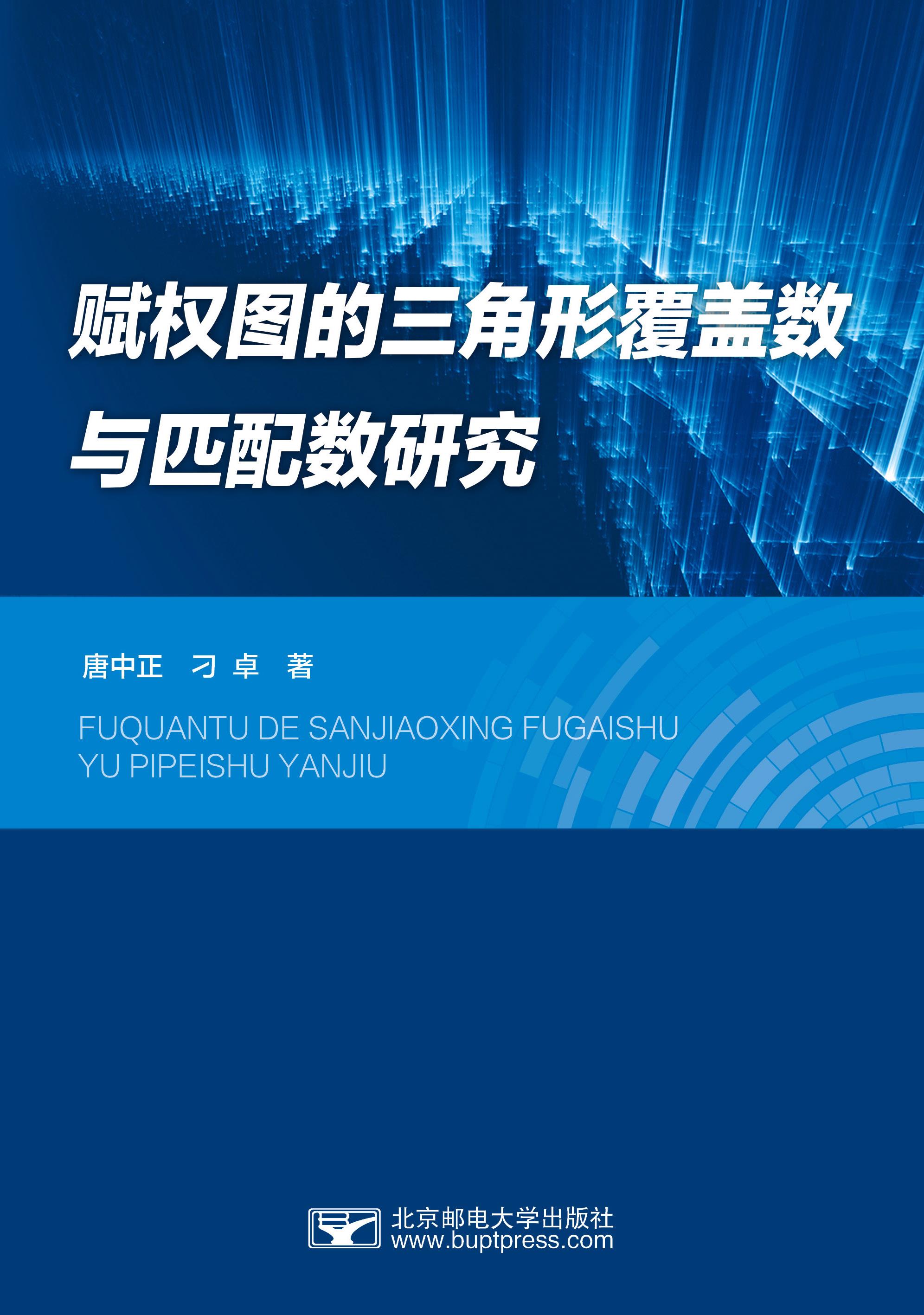 ��Ȩͼ�������θ�������ƥ�����о�